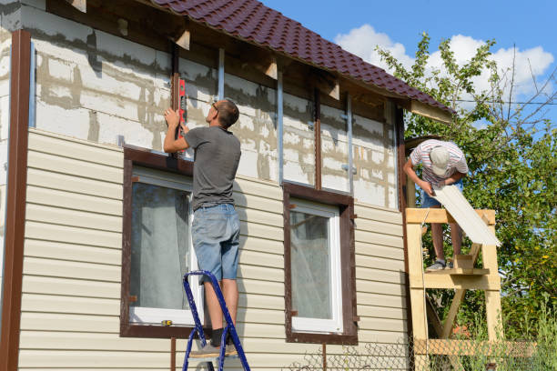 Best Steel Siding Installation  in Cotter, AR
