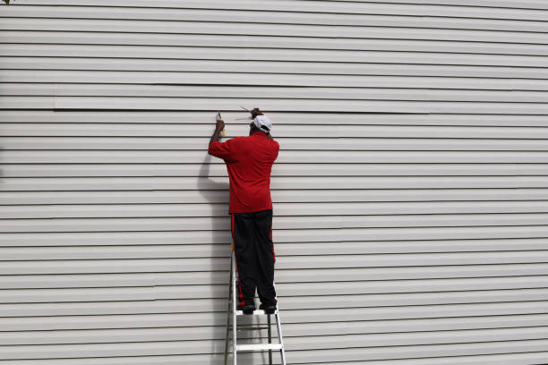 Best Stone Veneer Siding  in Cotter, AR