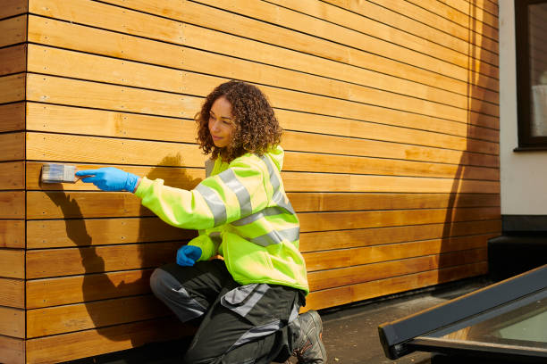 Best Custom Trim and Detailing for Siding  in Cotter, AR